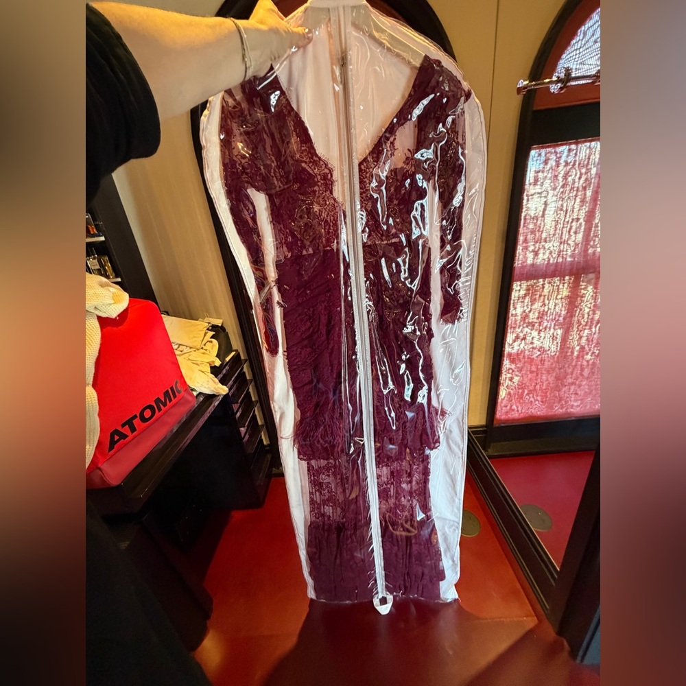 Elegant Burgundy Lace and Feather Floor-Length Long-Sleeve Maxi Dress BNWT 36 - Picture 2 of 7